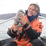 A Message in a Bottle From the North Pole–How Plastic Pollutes the Arctic Ocean